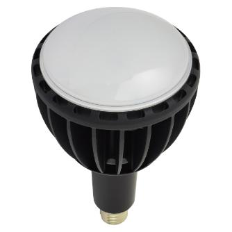 日動工業（株） LED交換球 L100W ＬＥＤ交換球 L100W-E39J-WBK-50K