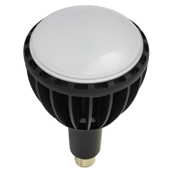 日動工業（株） LED交換球 L100W ＬＥＤ交換球 L100W-E39J-WBK-50K
