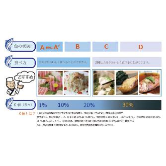 大和製衡（株） FISH ANALYZER TM DFA100 VER.300 ＦＩＳＨ　ＡＮＡＬＹＺＥＲ　ＴＭ DFA100 VER.300