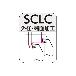 住友電気工業（株） SEC－ミニバイト ホルダ SCLC ＳＥＣ－ミニバイト　ホルダ SCLCR2525M09