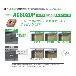 住友電気工業（株） スローアウェイチップ TNMG-SE スローアウェイチップ TNMG160404N-SE AC8020P