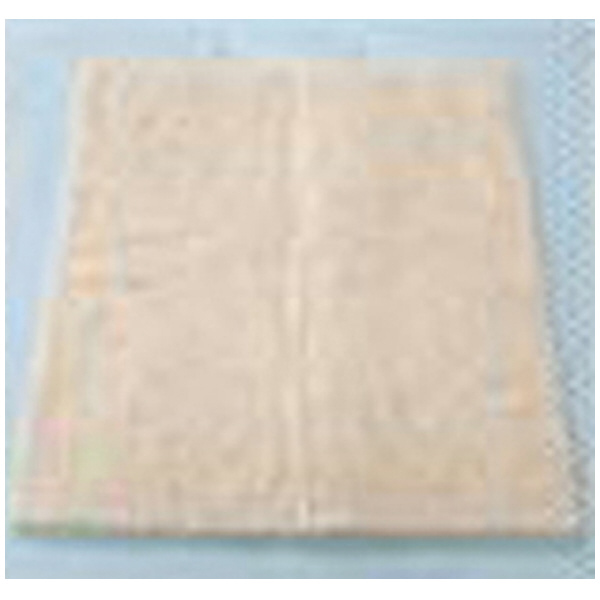 カクイ（株） オイルキャッチャー 100枚入 E-40 オイルキャッチャー　１００枚入 E-40