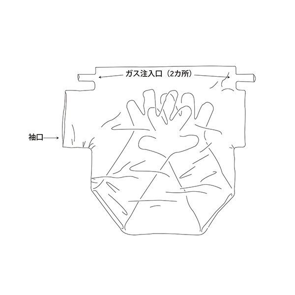 アズワン（株） グローブバッグ 3-119 グローブバッグ　Ｓ－３０　６枚入 3-119-04