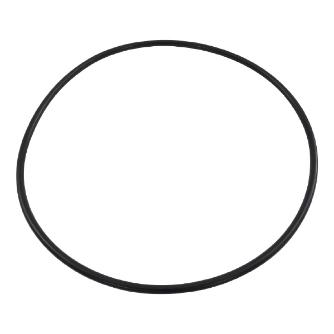 アズワン（株） 真空ポリカデシケーター 1-066 真空ポリカデシケーター用Ｏリング　Ｇ３０ 1-066-09