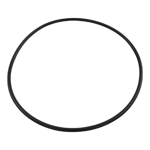 アズワン（株） 真空ポリカデシケーター 1-066 真空ポリカデシケーター用Ｏリング　Ｇ３０ 1-066-09