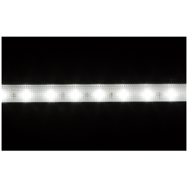 （株）ハタヤリミテッド LEDフローレンライト 10W ＬＥＤフローレンライト LJW-5W