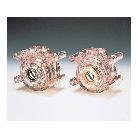 アズワン（株） 標準ポンプヘッド 1-5075