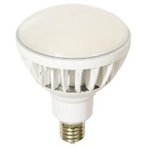日動工業（株） エコビック40W L40V2-J110-30K