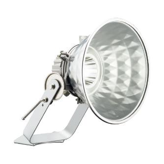 岩崎電気（株） レディオックフラッドスポラート65W E30421 レディオックフラッドスポラート６５Ｗ E30421M/NSAN8