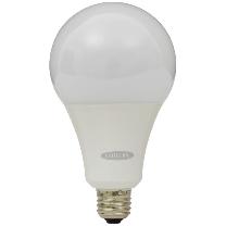 日動工業（株） LEDフロスト電球22W LFC-22W-50K