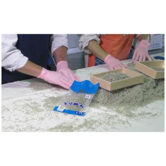 ショーワグローブ（株） ニトリスト・ピンク 100枚入 NO8850 ニトリスト・ピンク　１００枚入　Ｍ NO8850-M